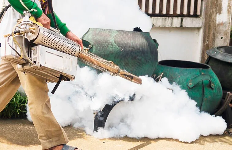 Unlocking the Power of Pragatizacao: A Deep Dive into Its Significance